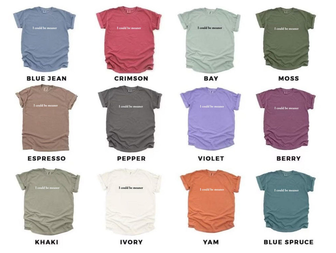 I Could Be Meaner T-Shirt
