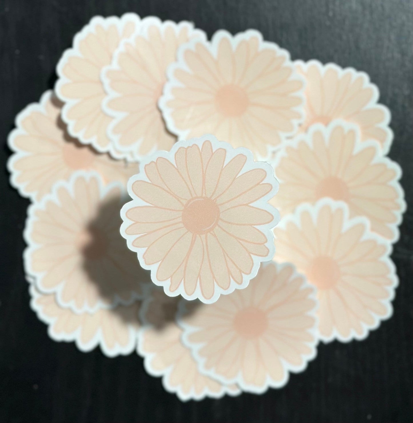 Light Pink Daisy Sticker, Floral Sticker, Water Resistant, Laminated, Scratch Proof