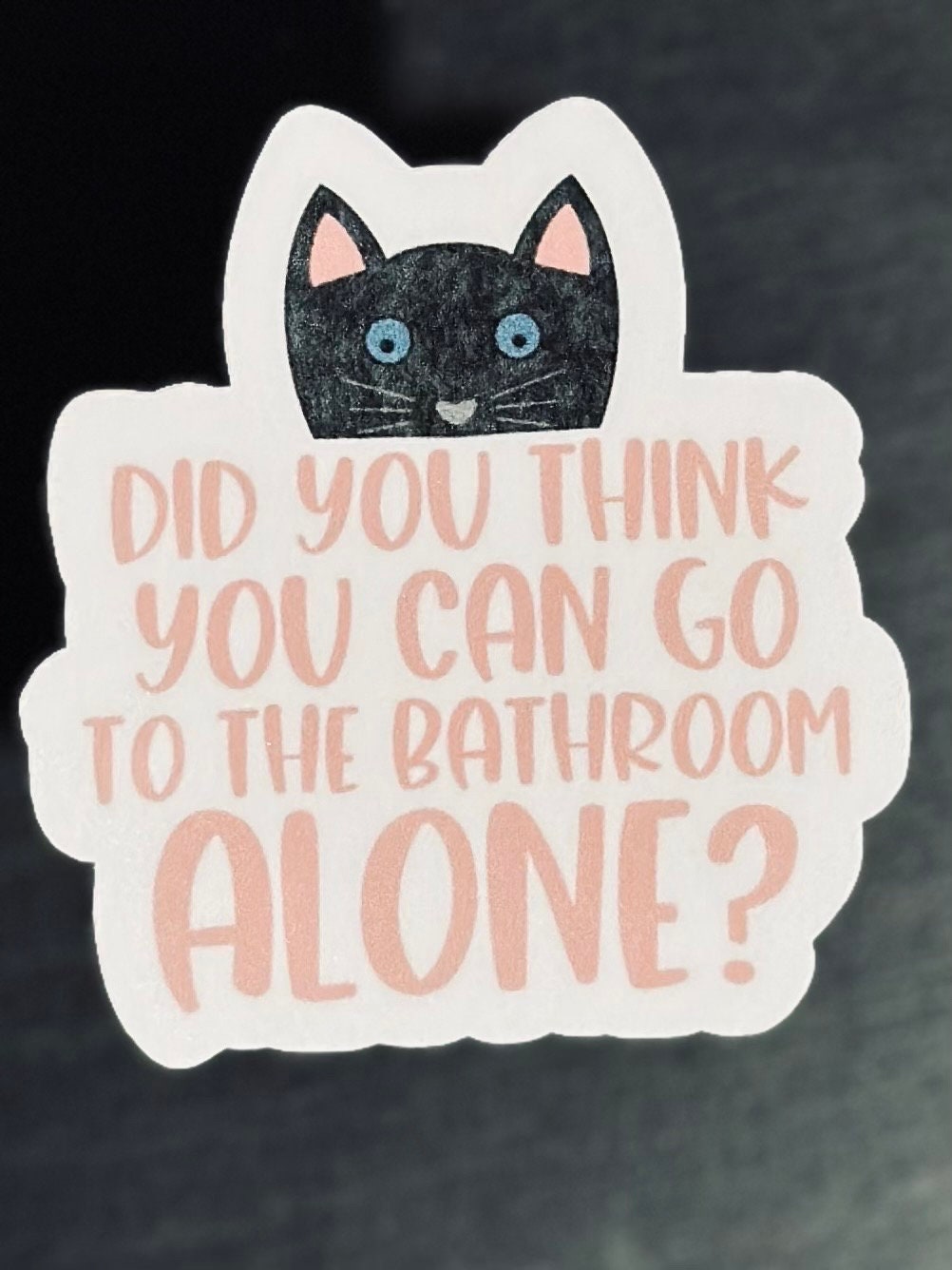 Cat Bathroom Sticker, Sarcastic Cat, Cat Stickers, Sarcastic Stickers, Laminate, Water Resistant, Laminated, Scratch Proof