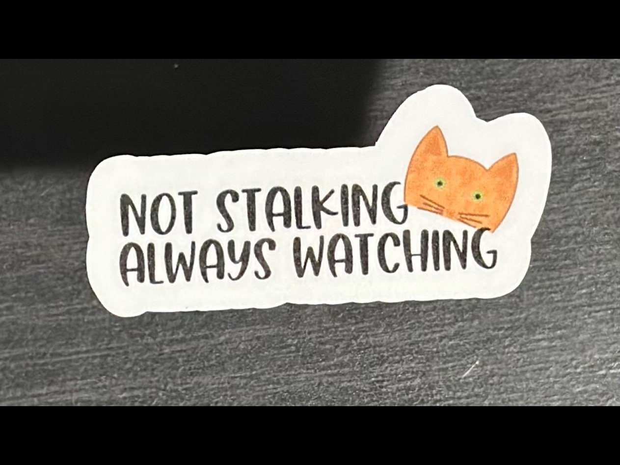 Not Stalking Always Watching Sticker, Sarcastic Cat, Cat Stickers, Sarcastic Stickers, Laminate, Water Resistant, Laminated, Scratch Proof